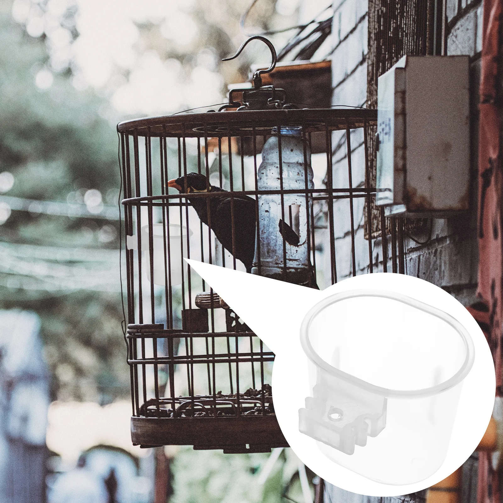 

10Pcs Hanging Bird Feeder Easy to Install No Mess Design for Parrots and Small Birds Bird Food Bowl Parakeet Feeder