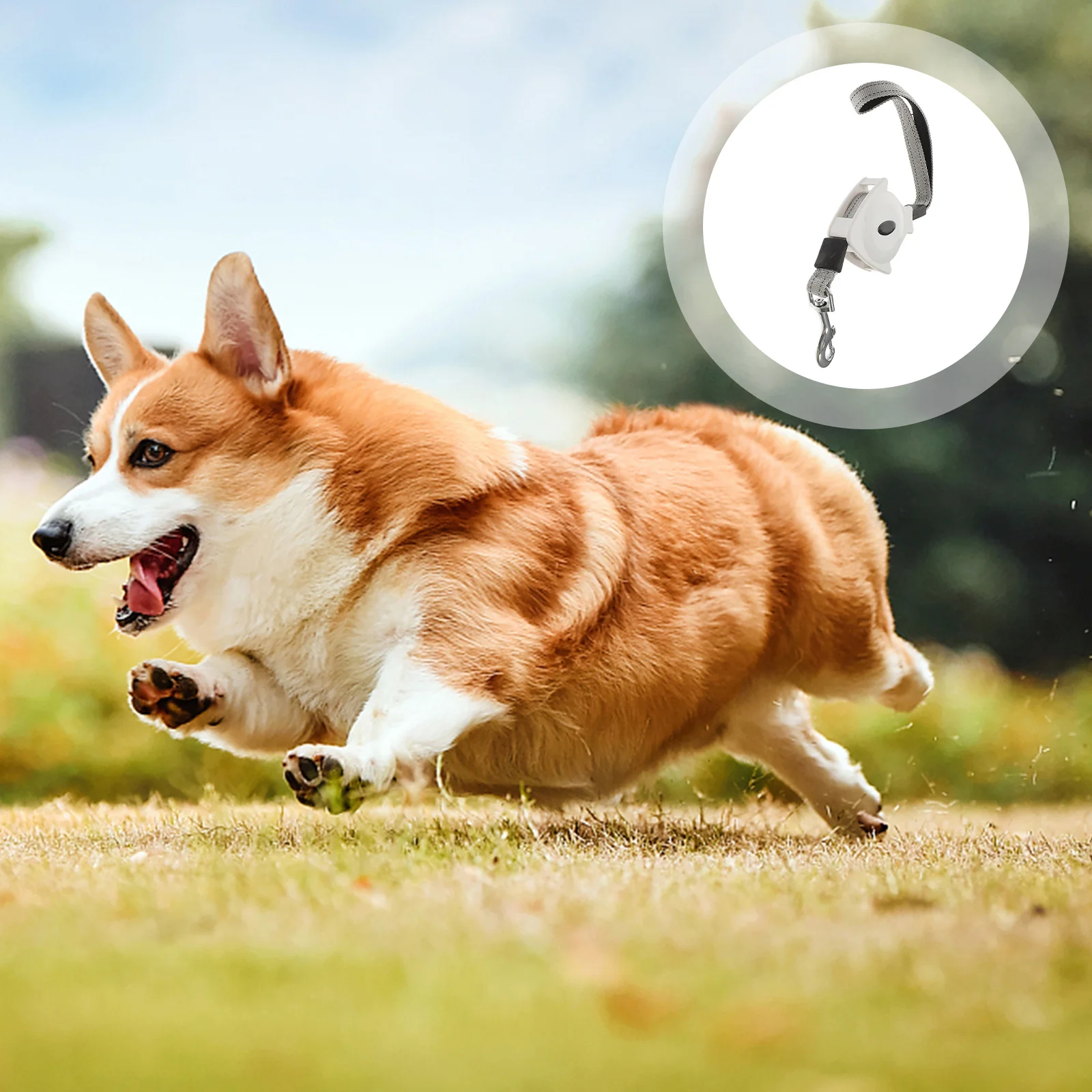 

Premium Retractable Dog Leash 15M Auto Locking Pet Walking Lead Reflective Strip Safety Design Comfort Grip Thumb Control For