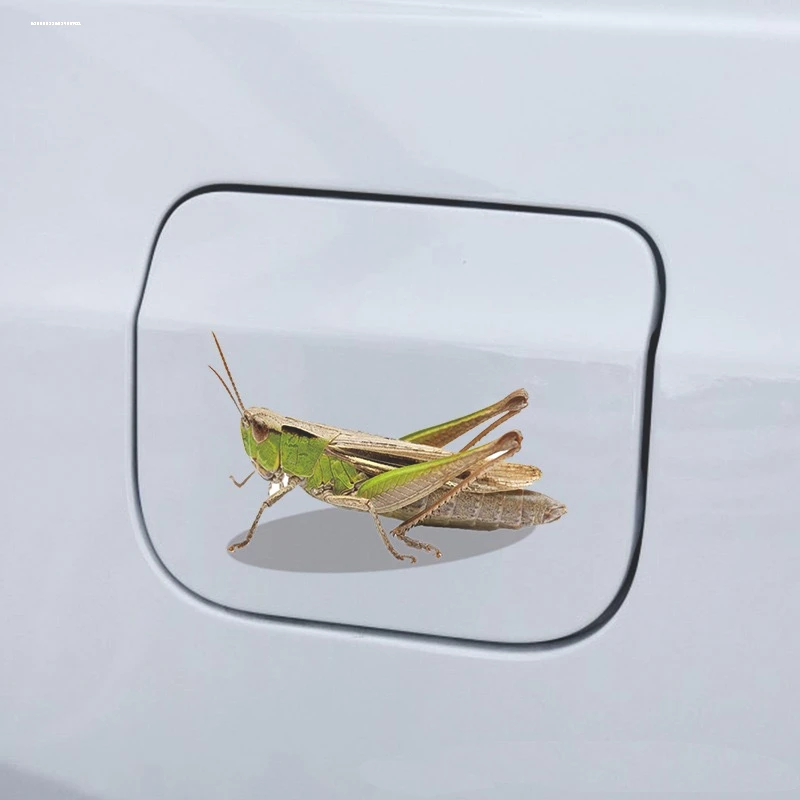 ملصقات حشرات صناعية للدراجات النارية ، شارات فينيل ثلاثية الأبعاد ، غطاء محرك أمامي ، خزان وقود ، زخرفة جانبية ، ملحقات محرك حيوانات #4