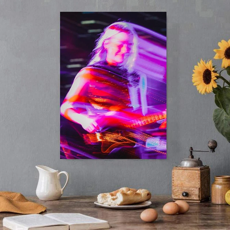 Singer Phoebe Bridgers Music Album Hot Songs Art Poster Prints Canvas Painting Wall Art Pictures Modern Fans Bedroom Home Decor