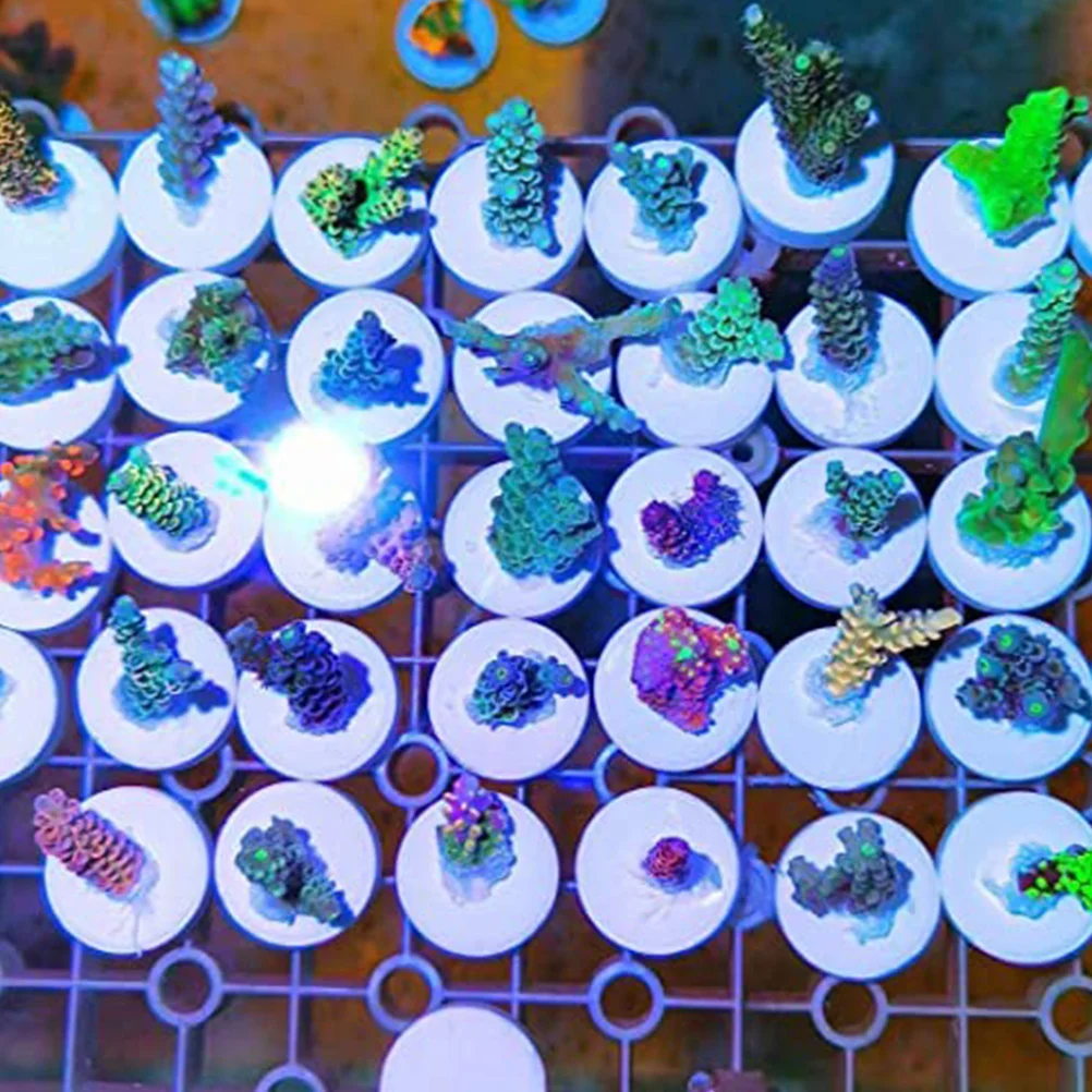 

Stand Fish Tank Decorations Ceramic Coral Breeding Bases Accessories White Supplies
