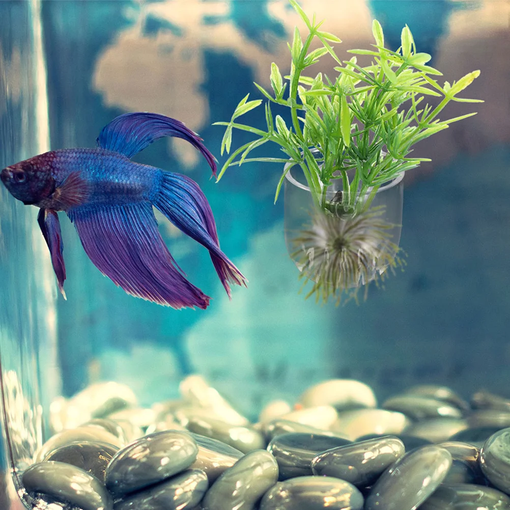 

10Pcs Suction Cup Aquarium Planter Cups for Live Plants Hydroponic Fish Tank Decor Adjustable Water Level Beginner Friendly