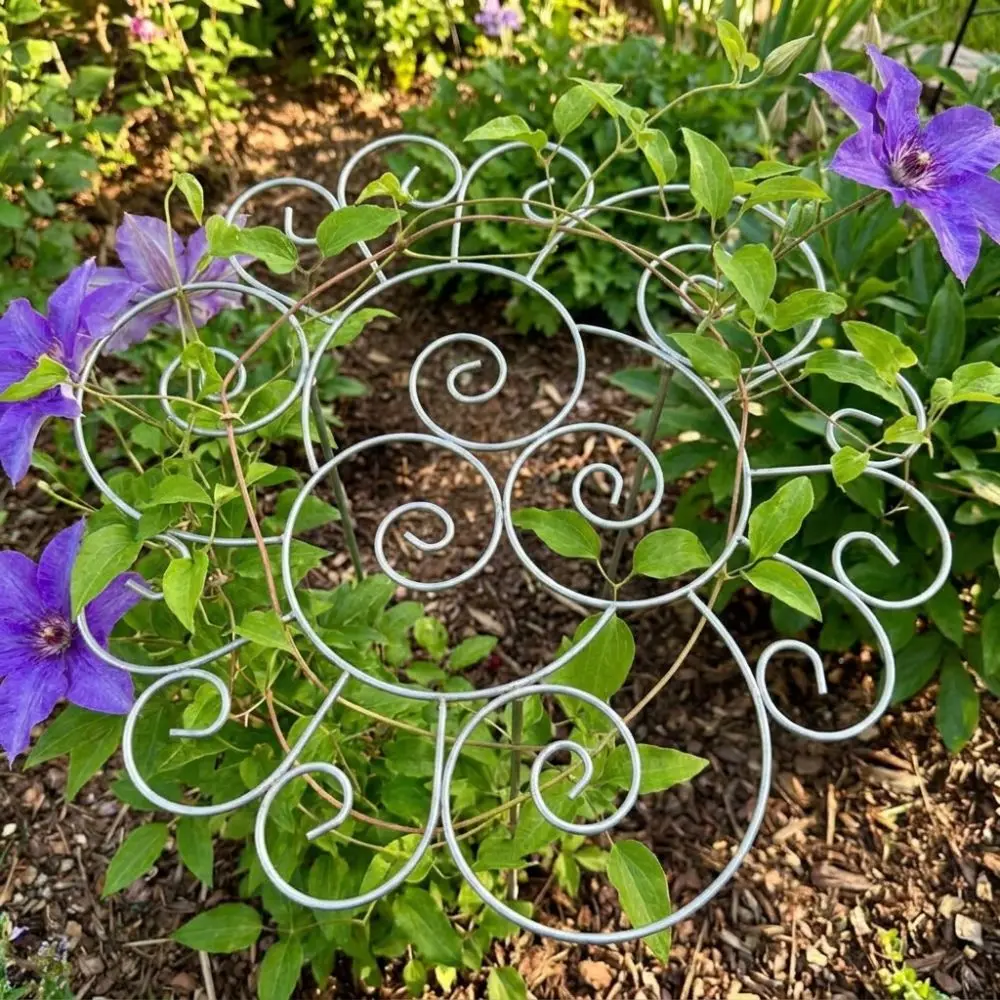 Flower Shaped Metal Plant Support Ring Weather-Resistant Rust-Proof Peony Cage Support Stand Iron Art Anti Lodging