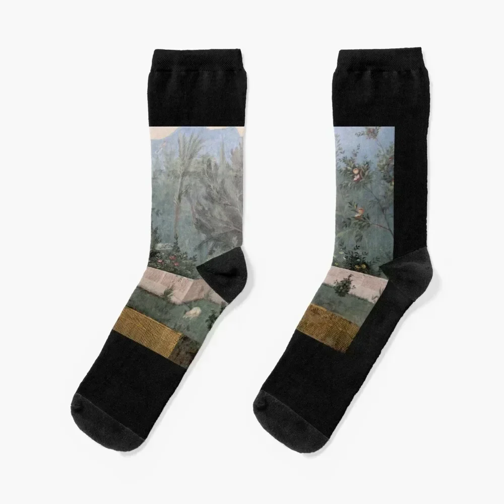 

Garden of Livia - Prima Porta Socks gift sport soccer anti-slip short Socks Men Women's