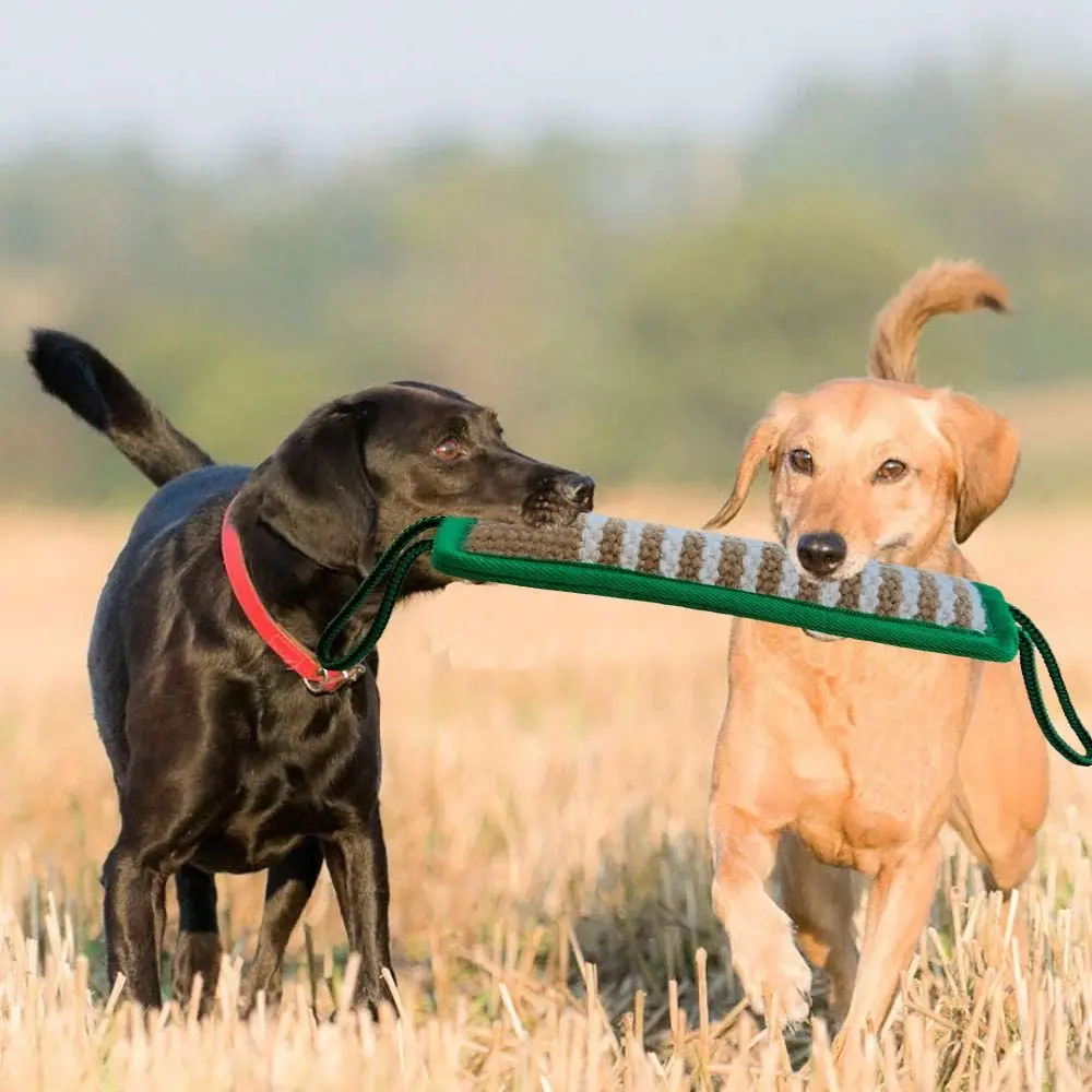 Pet Teeth Cleaning Jute Pet Chewing Toy with 2 Rope Handles Creative Dog Bite Pillow Non-slip Durable Dog Tug Toy Shepherd