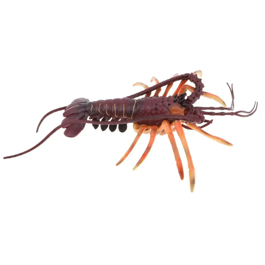 Spiny Lobster Animal Model Figure Kids Educational Toy Gift Home Decor