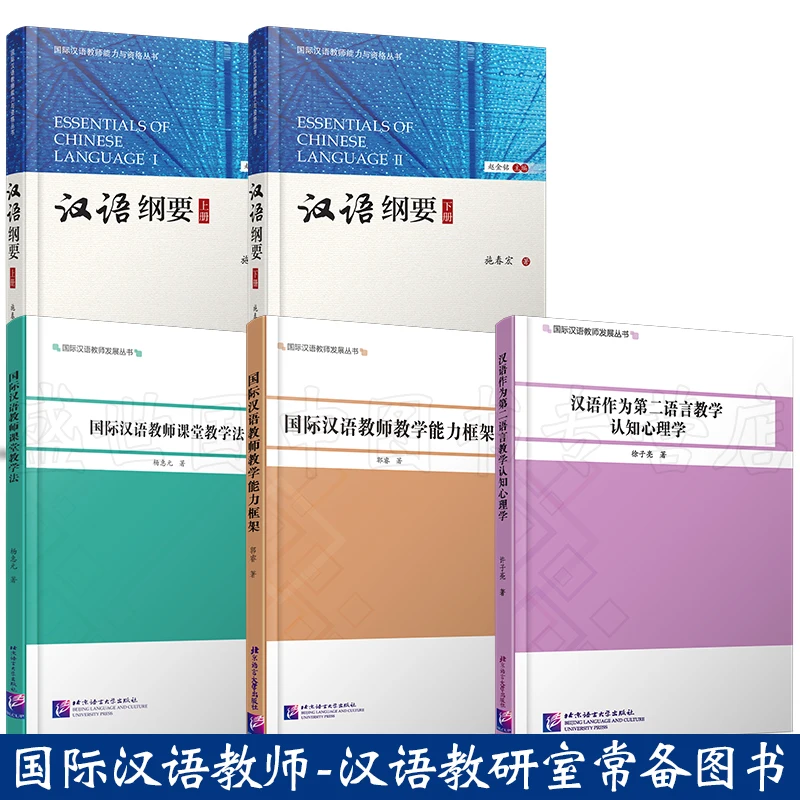 5 International Chinese teacher ability and qualification textbooks teachers classroom teaching and ability framework