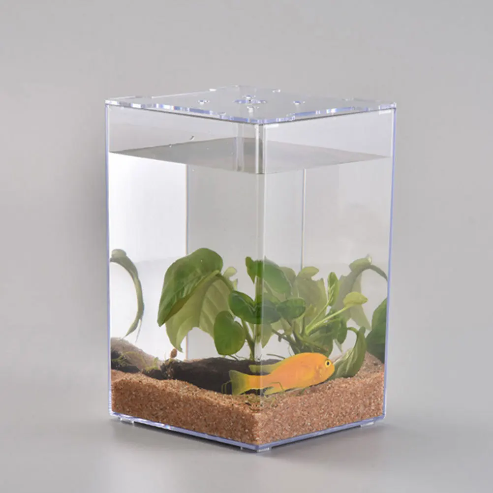 

1pc Thai Betta Fish Tank Mini Transparent Acrylic Aquarium Desktop Decor Small Cylinder Box For Home Party Decor