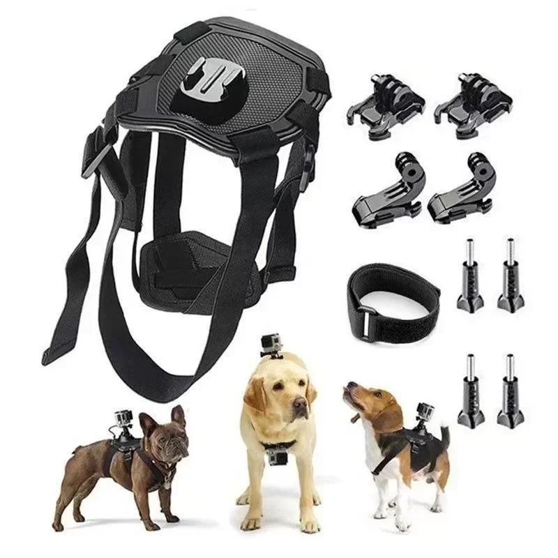 Pet recorder remote, monitoring first-person perspective shooting