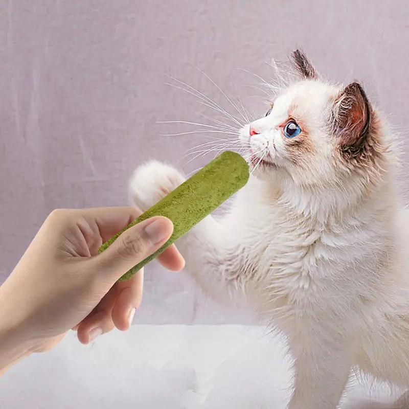 Cat Grass Teething Stick 6X Pet Treat Snack Cat Freeze Dried Grass Stick Boosts Interaction Cleaning Cat Teeth Edible Cat Toys