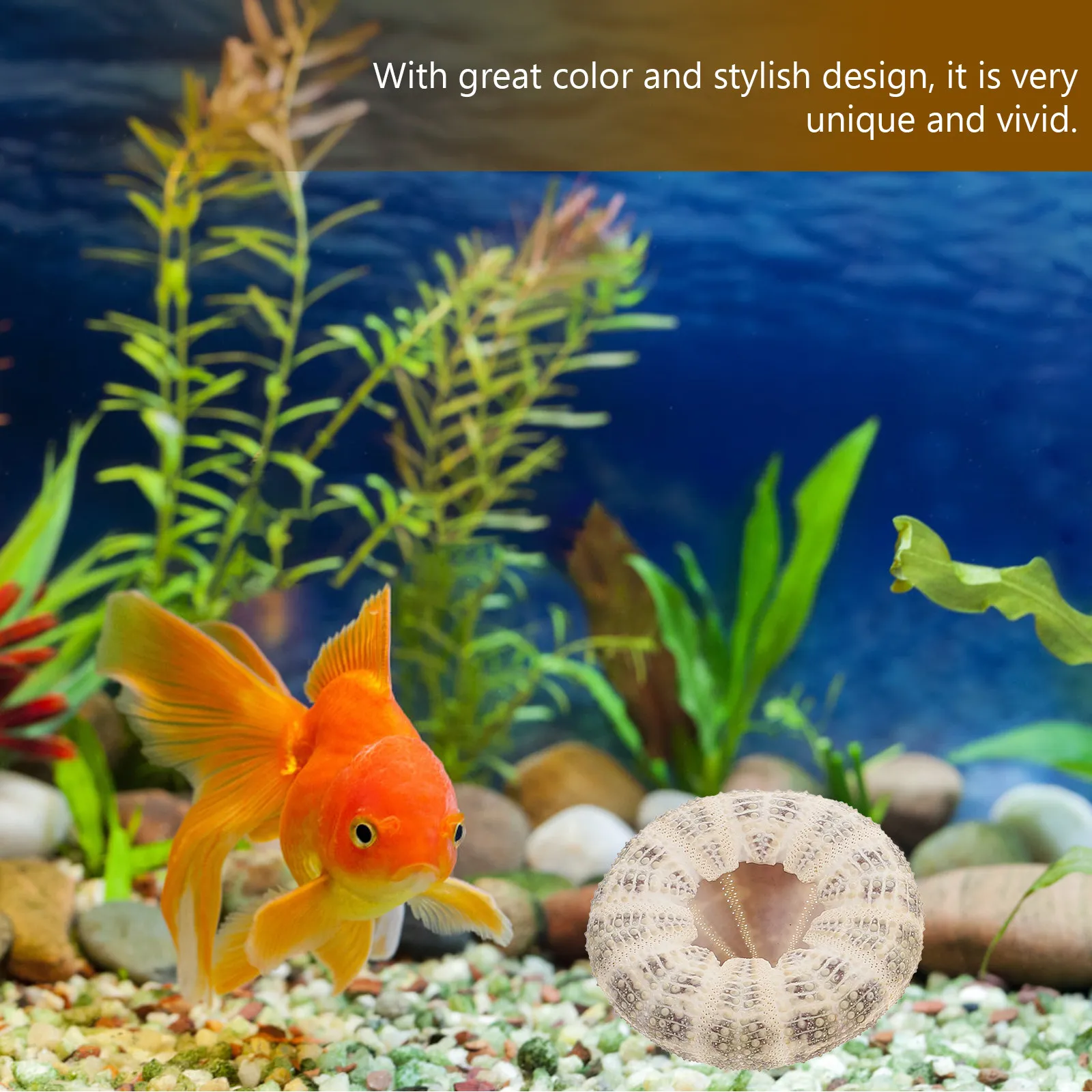 6Pcs Sea Urchin Shell Planter Natural Air Plant Pot Desktop Tabletop Decor Fish Tank Aquarium Landscape DIY Gardening