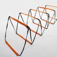 Foldable Agility Ladder Multi-Functional Training Equipment For Fitness Coordination Jump Rope Home Exercise