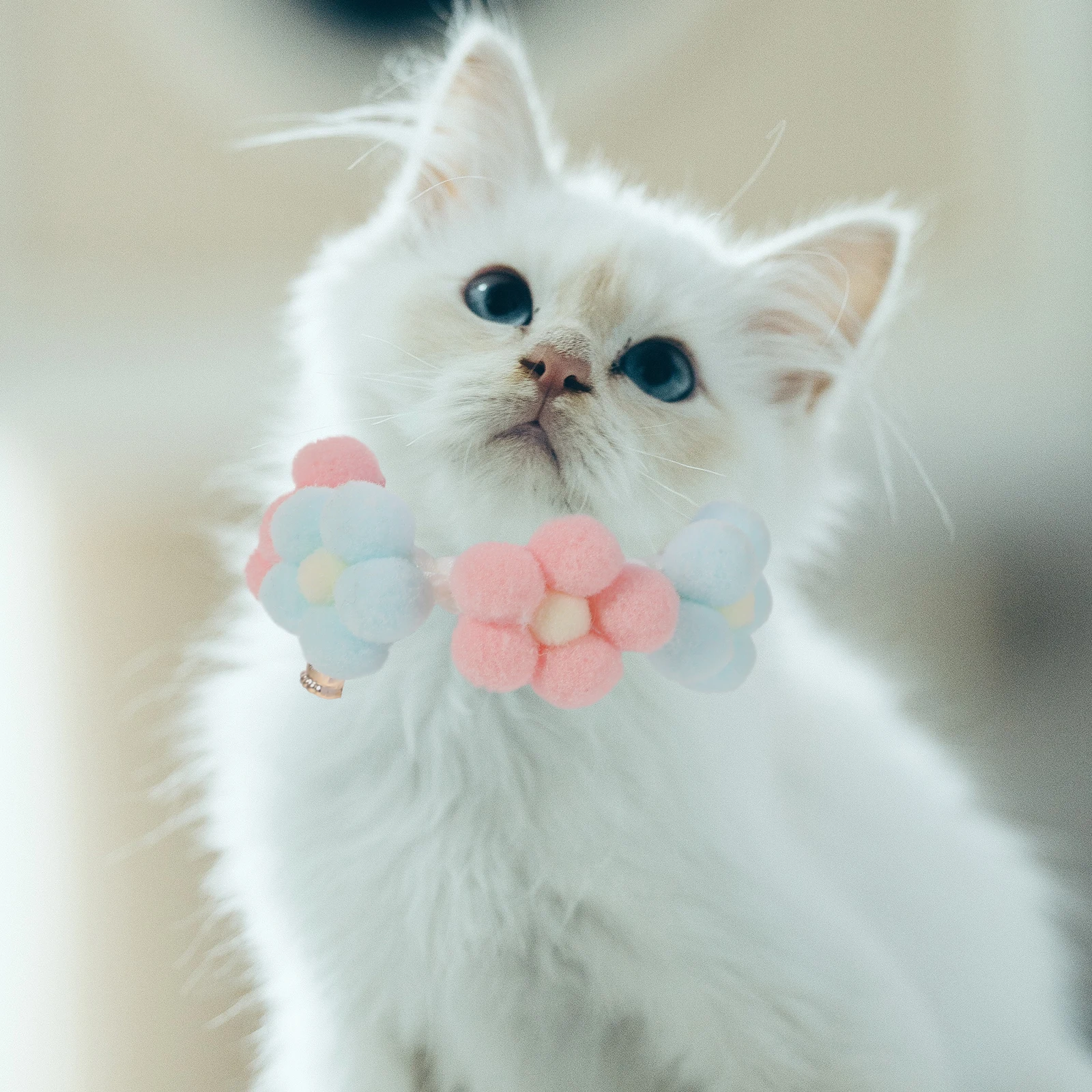 

Hand Knitted Pet Collar For Cat Dog Durable Lightweight Adjustable Scarf Neck Ring Accessory Fashionable Comfortable Wearable