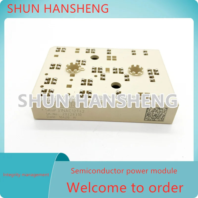 

SKiiP31NAC12T4T42 SKIIP32NAB12T45 SKIIP31NAC12T2 SKIIP30NAC12T2 SKIIP32NAC12T42 SKIIP31NAB12T49 IGBT MODULE