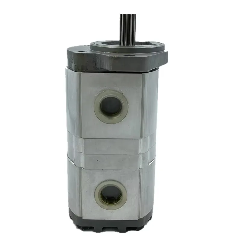 المجموعة 20 مضخة زيت التروس الهيدروليكية Casapa PLP20 PLP10 مضخة التروس PLP20.14D0-8 PLP10.6.3D0-30K2-LBB/BA-N-EL-FS