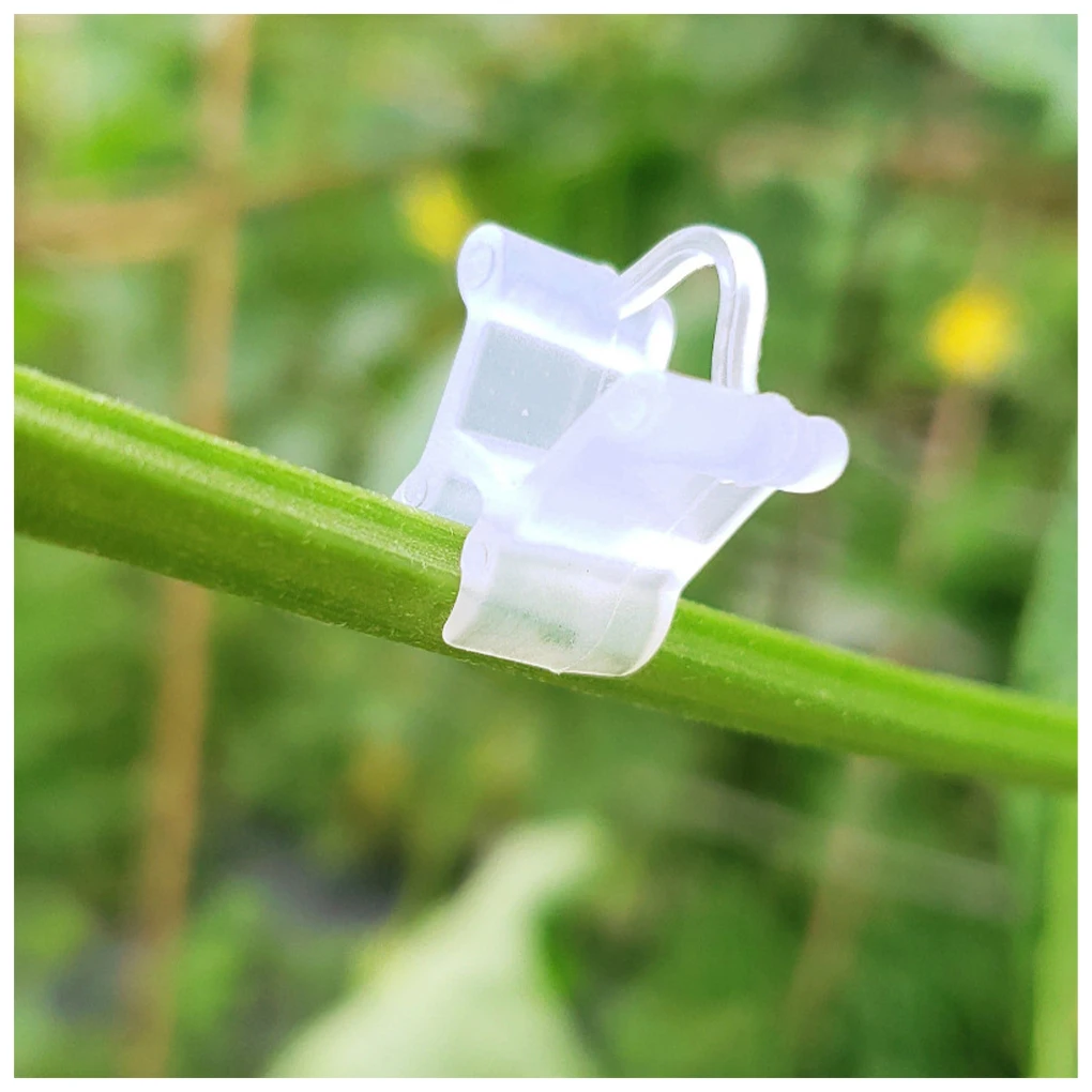 100 Pieces Vegetable Fruit Plant Grafting Clip Watermelon Strawberry Tomato Half Transparent Support Clamp Gardening Accessories