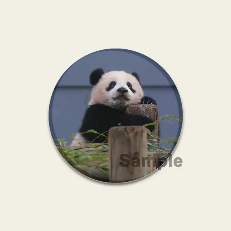 32/44/58mm Cute Giant Pandas Brooch Pins Cosplay Nuannuan/xiangxiang/fubao Badge Brooches Bag Accessories Jewelry Gifts