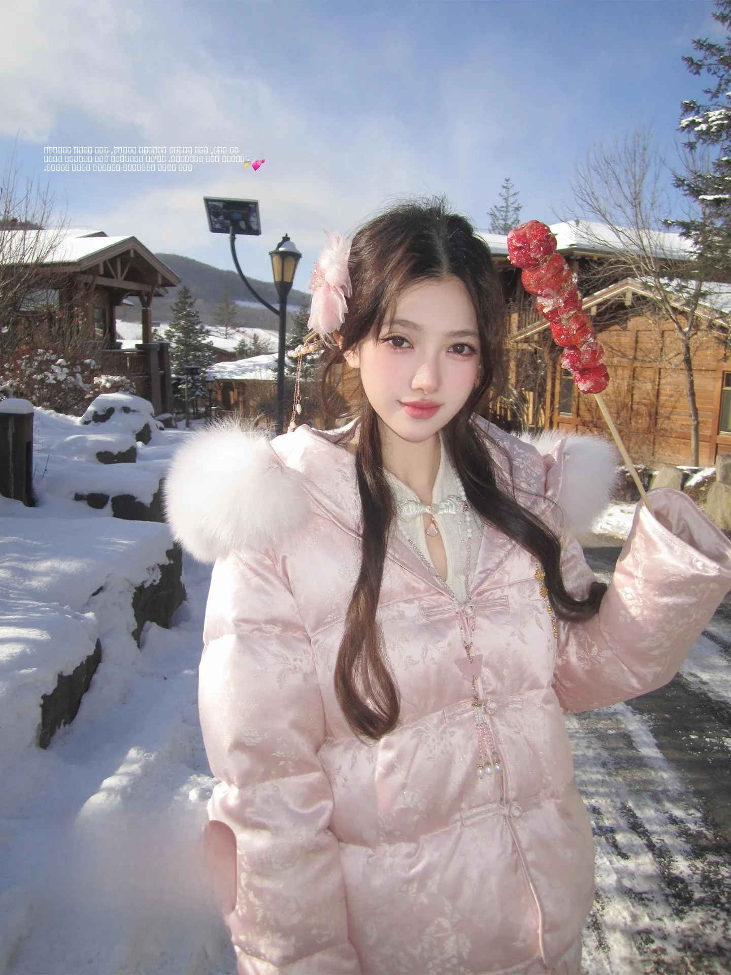 

Chu Chu Chinese Sle Floral Embroidery Women's down Jaet with Detachable Fur Collar ort Coat Warm Commute Faion