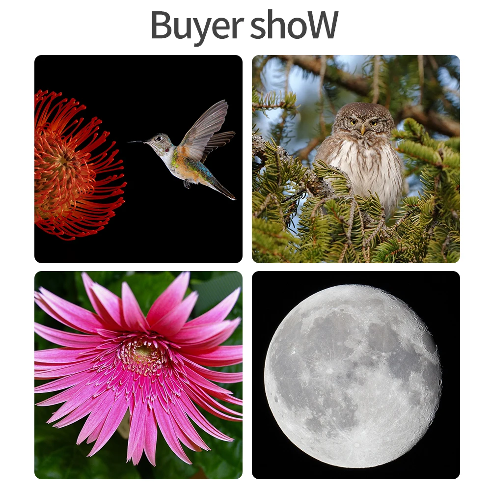 عدسة تكبير تليفوتوغرافي يدوية 420-800 مم f/8.3 هذا العدسة متوافقة مع كاميرات Canon وNikon وSony، مما يجعلها اختيارًا مثاليًا #3