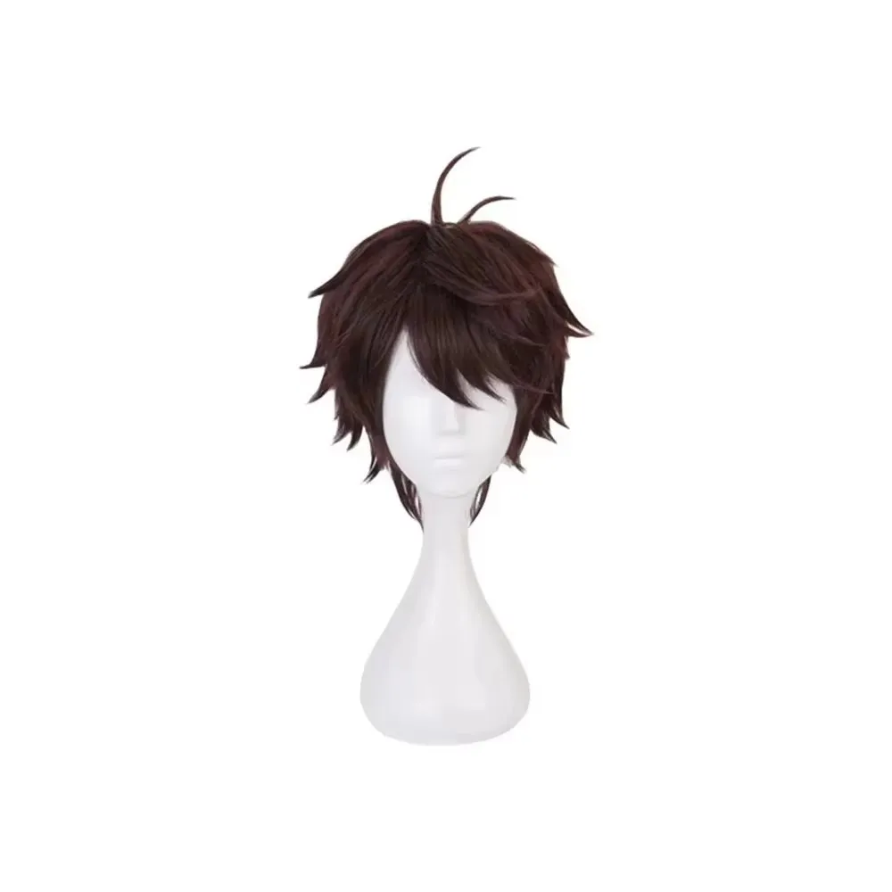 Short Dark Brown Synthetic Cosplay Wig for Anime Characters, Layered Fluffy Style with Natural Curl Ends