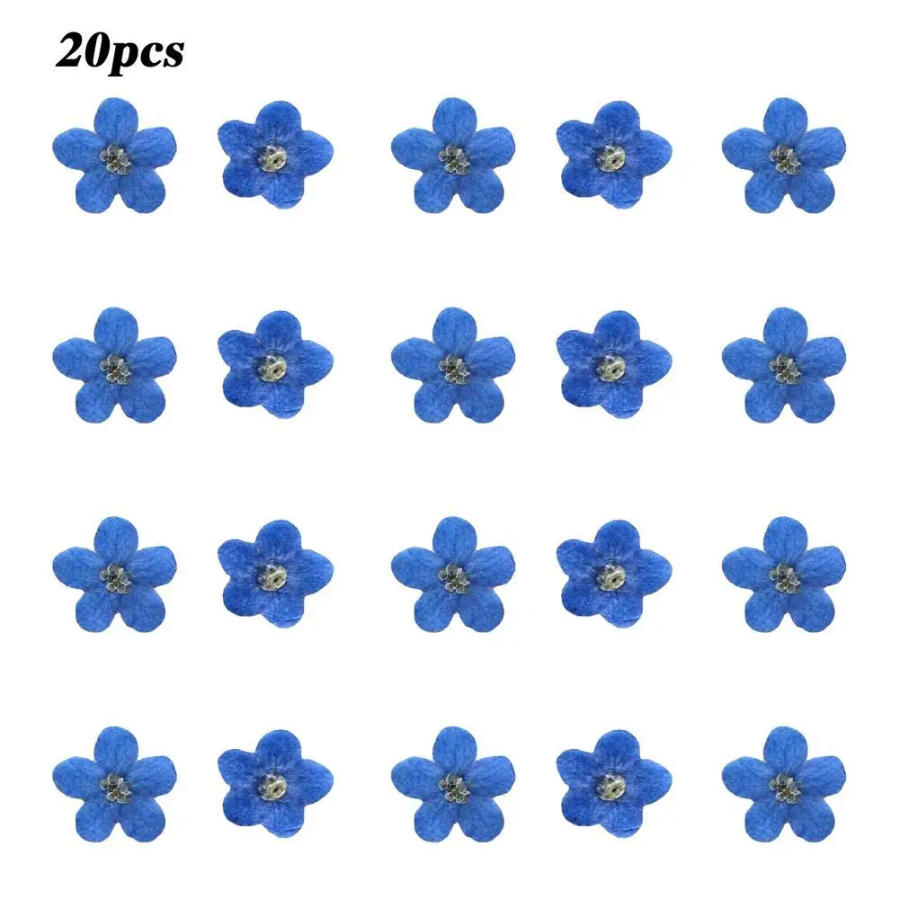 20Pcs Forget Me Not Dried Flower Head Epoxy Resin Jewellery Filling Nail Art DIY Flower Stickers Card Phone Case