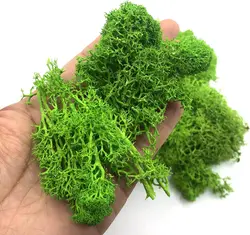 200g Artificial Green Plants Mini Landscape Eternal Life Moss Grass Fake Grass  Garden Living Room Home Decoration DIY Crafts