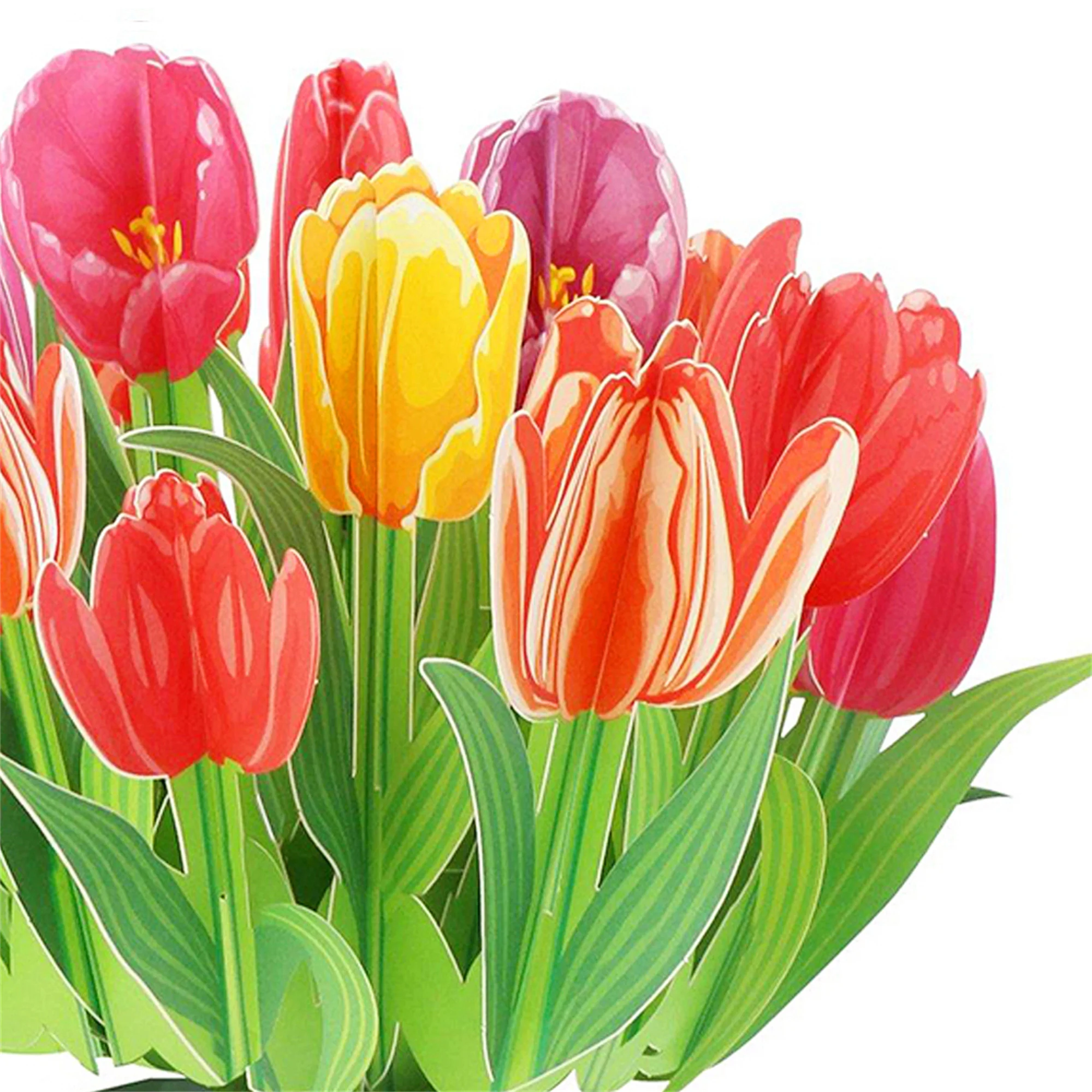 بطاقة تهنئة ثلاثية الأبعاد بتص - مراجعة Event & Party Supply Photos وسعره