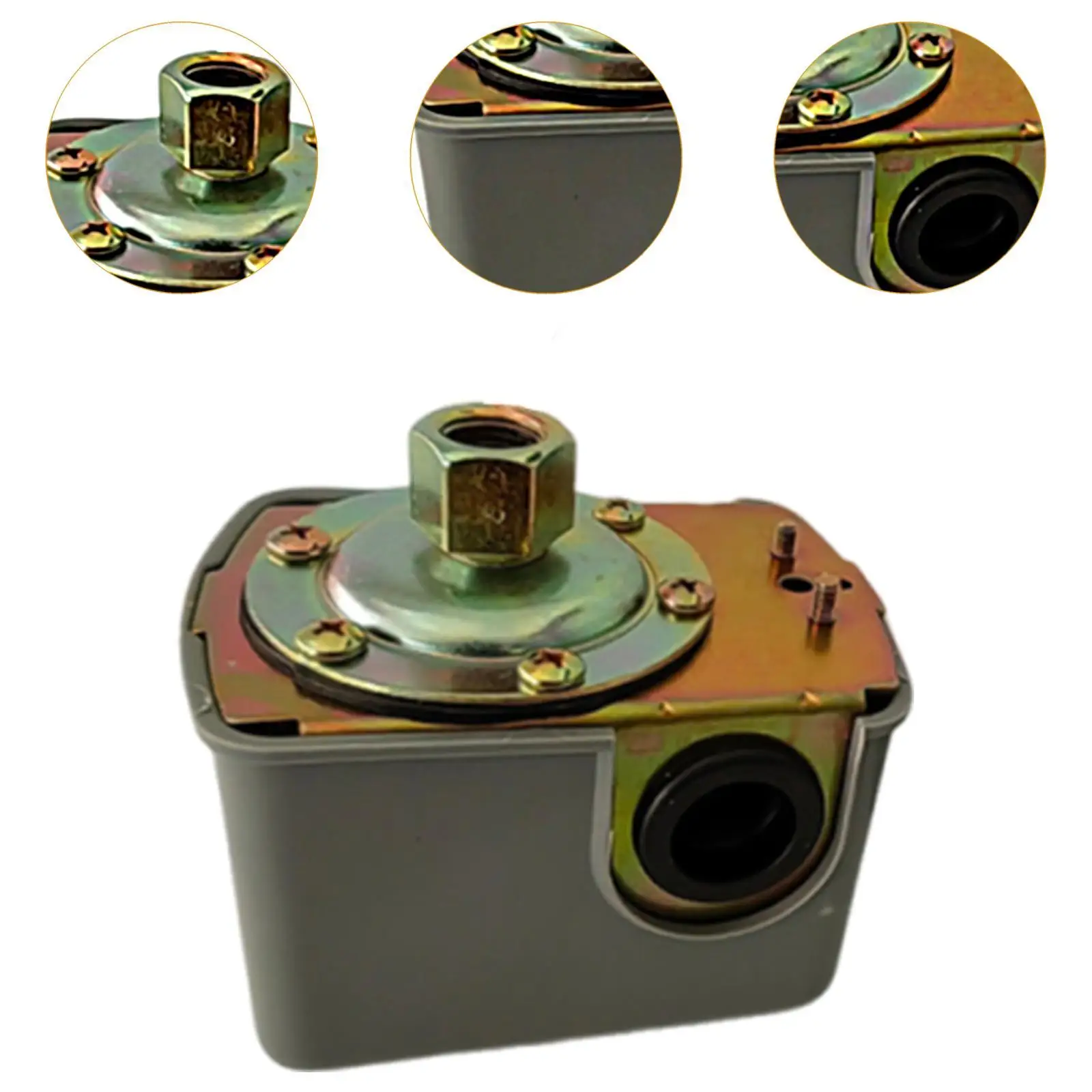 Interruttore della pompa booster Accessori per pompe autoadescanti per scopi agricoli