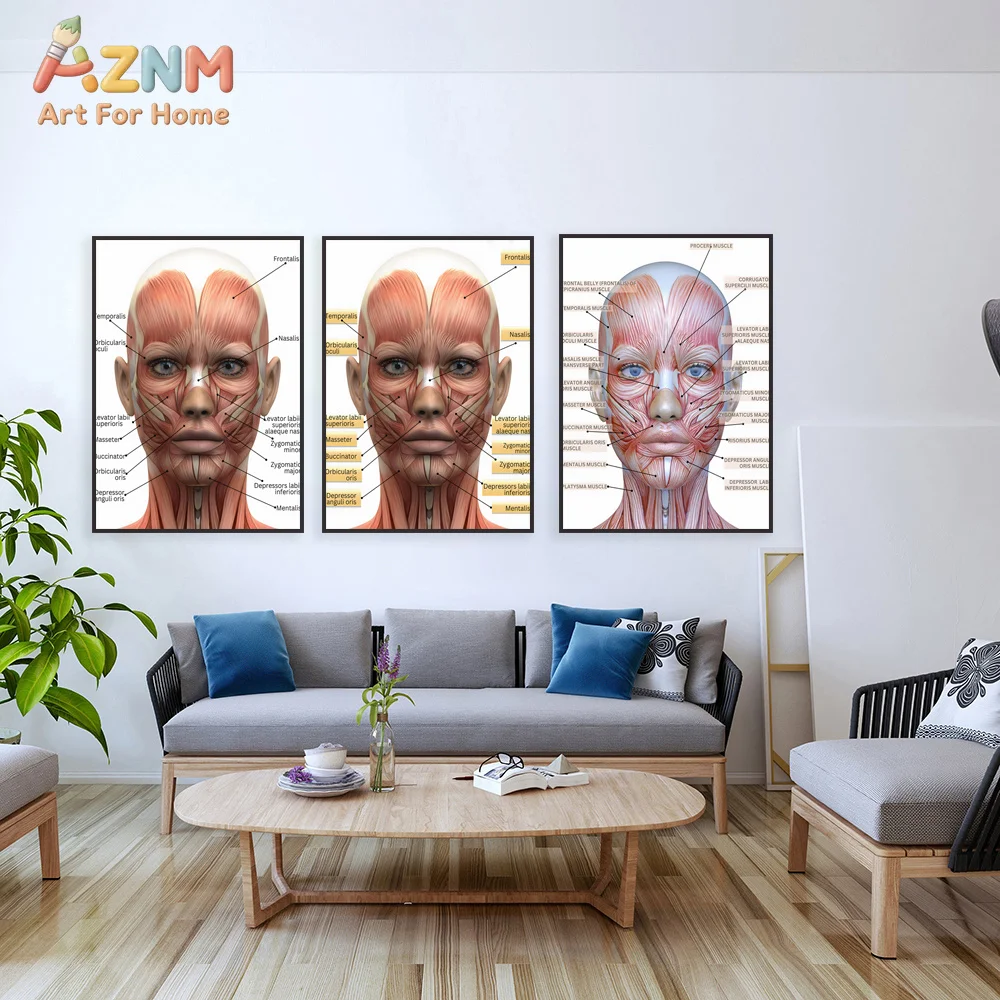 Facial muscles poster, facial anatomy medical spa poster, plastic surgery spa nurse syringe decor, beautician gift wall art