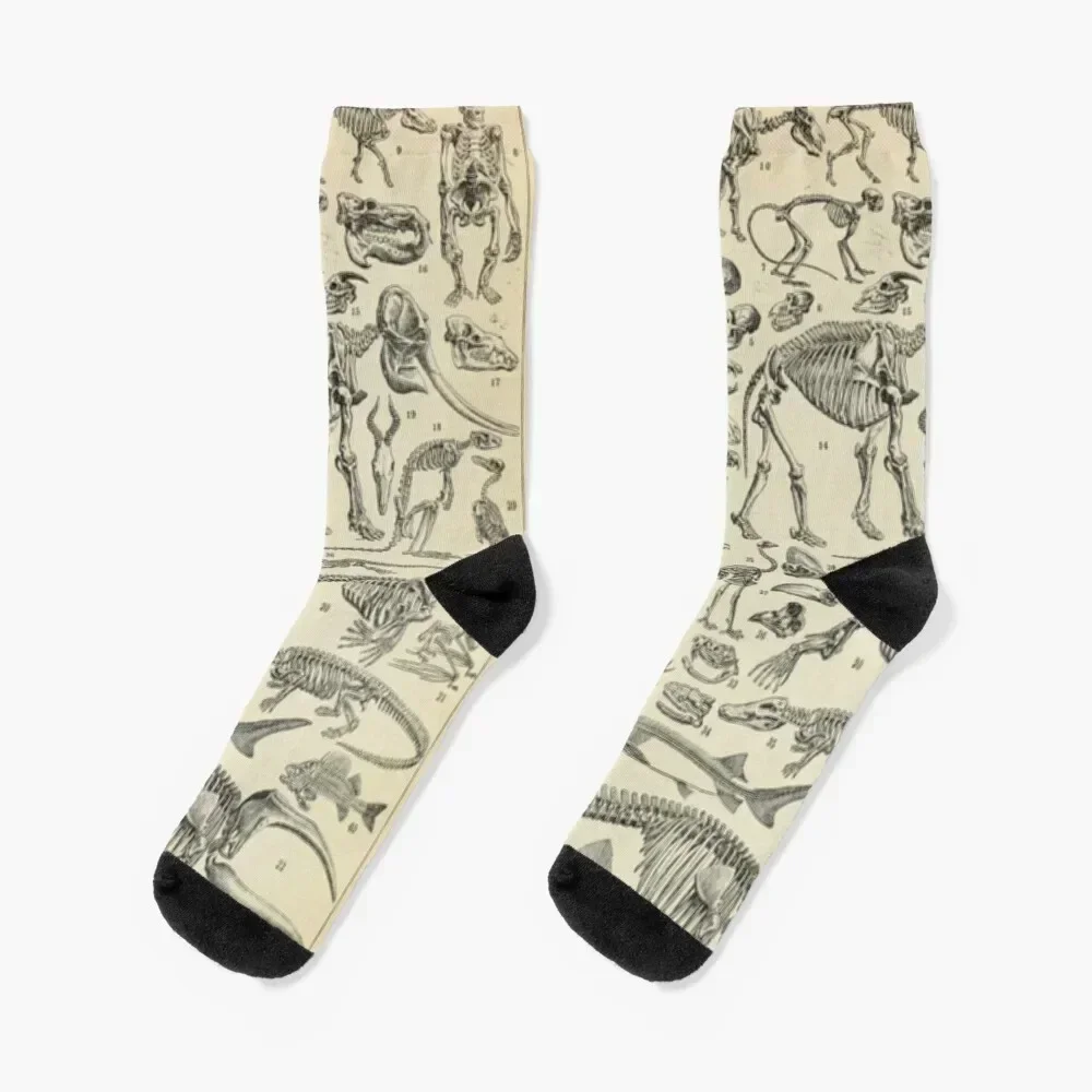 

Skeletal Anatomy Socks crazy Thermal man winter christmas gift Socks Woman Men's
