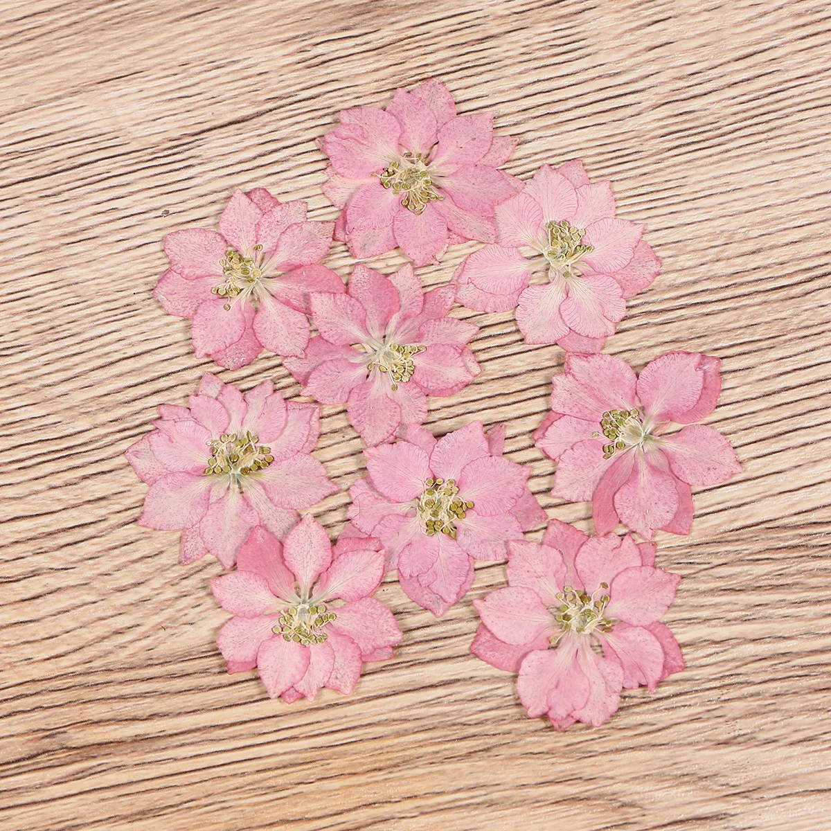 

20pcs Dried Flower Plant Specimen Natural Realistic 3D Diy Decor For Phone Case Craft Supplies Small Floral Ornaments