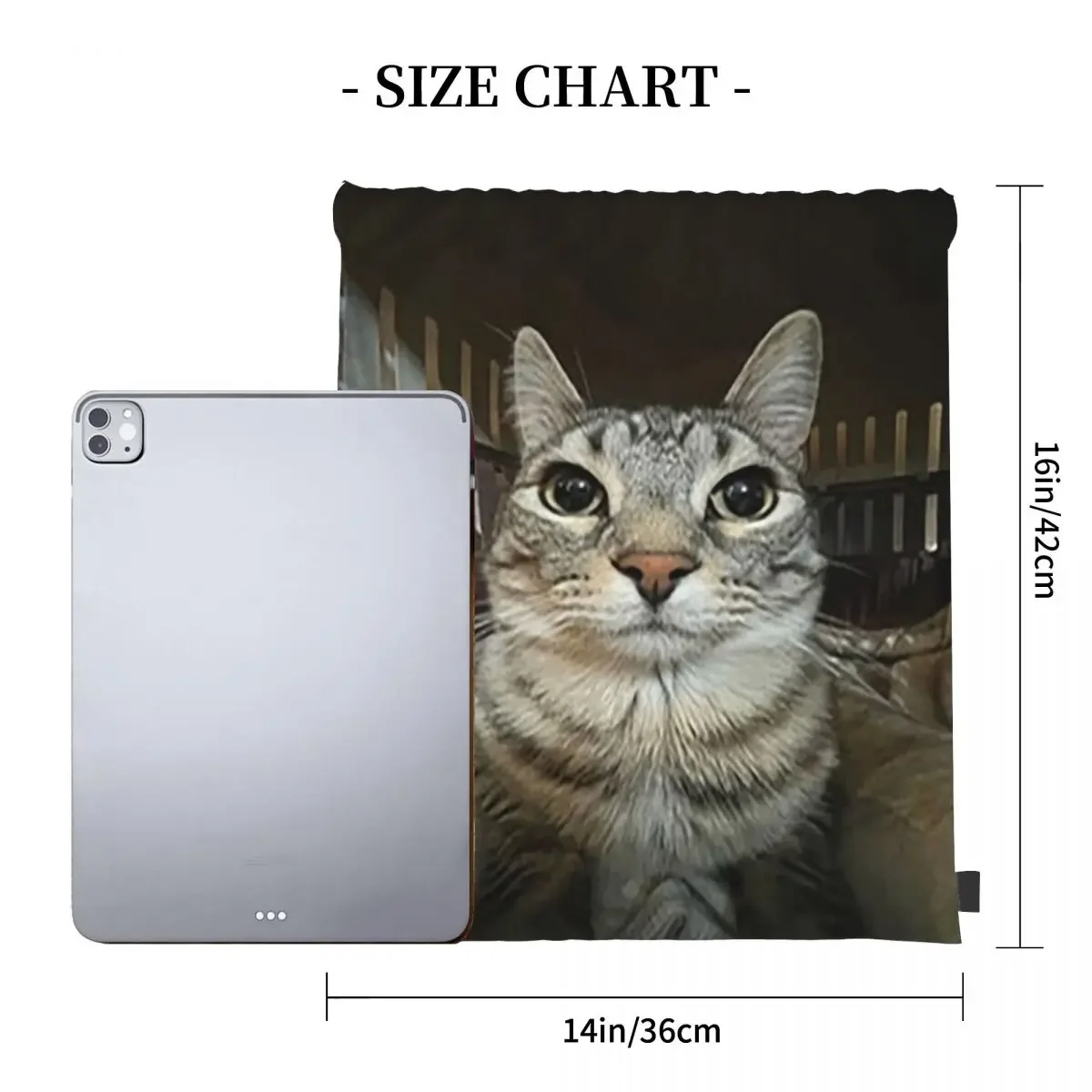 Cat Looking Directly At You Backpacks Portable Drawstring Bags Drawstring Bundle Pocket Shoes Bag BookBag For Man Woman Students