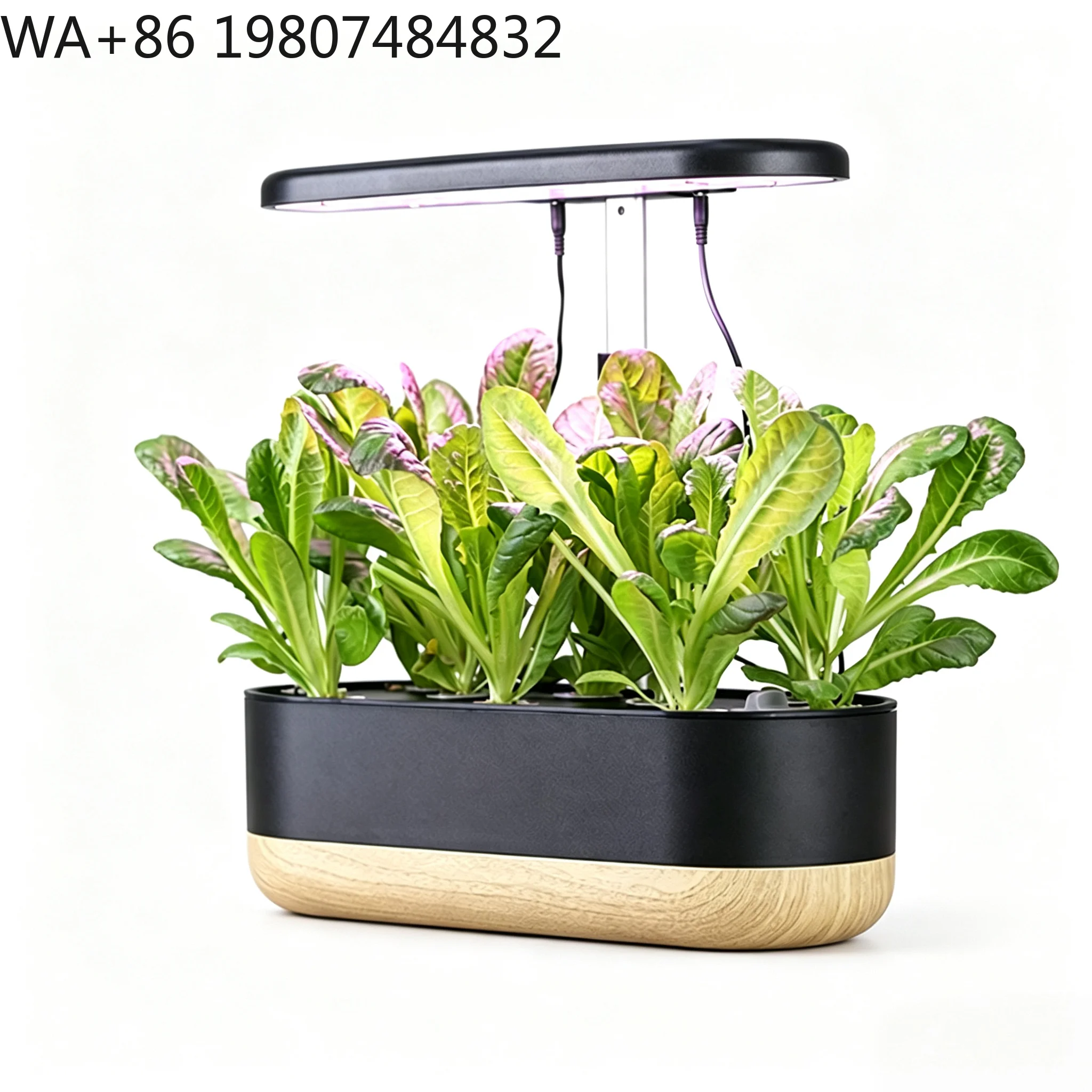 12-hole Soilless Cultivation Container Full Spectrum 20W LED Fill Light With Water Level Indicator  Indoor Herb Vegetable
