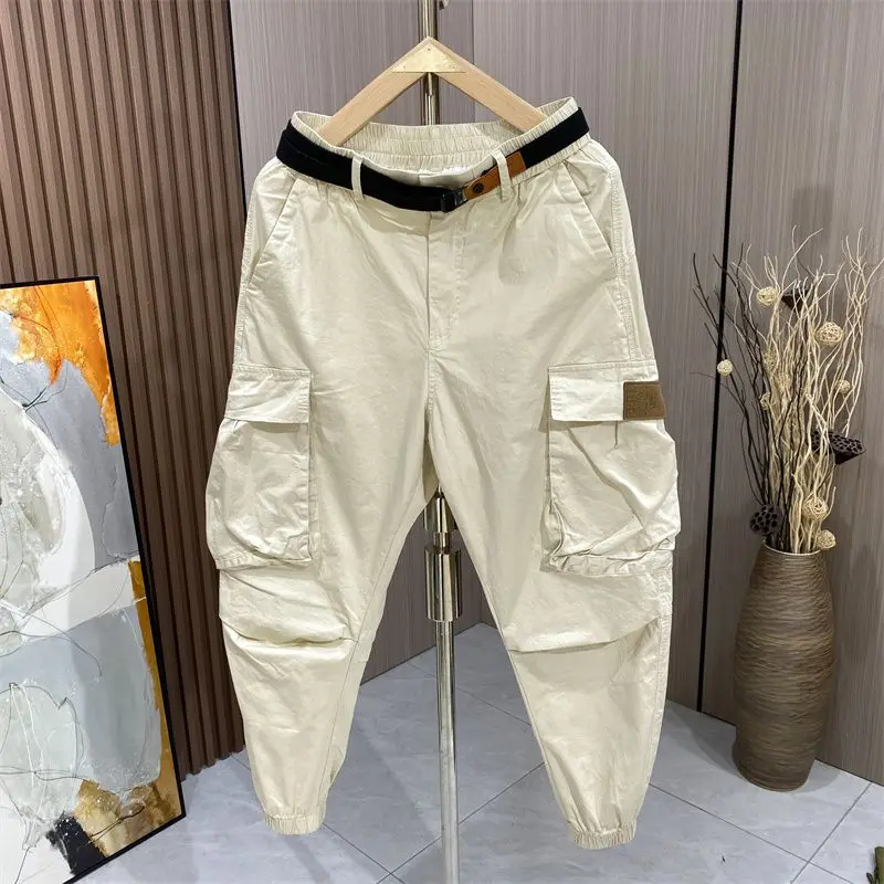 Fashion Comfortable Casual Harem Pants for Men with Elastic Waistband Loose Autumn Stylish Hip Hop Cargo Large Pockets Trousers