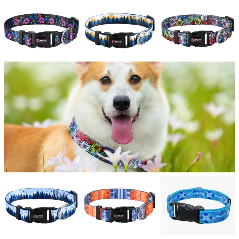 

Pets collar dogs harness neck belt dog collar accessories perro mascotas para correa pecheras pet accesorios leash collares home