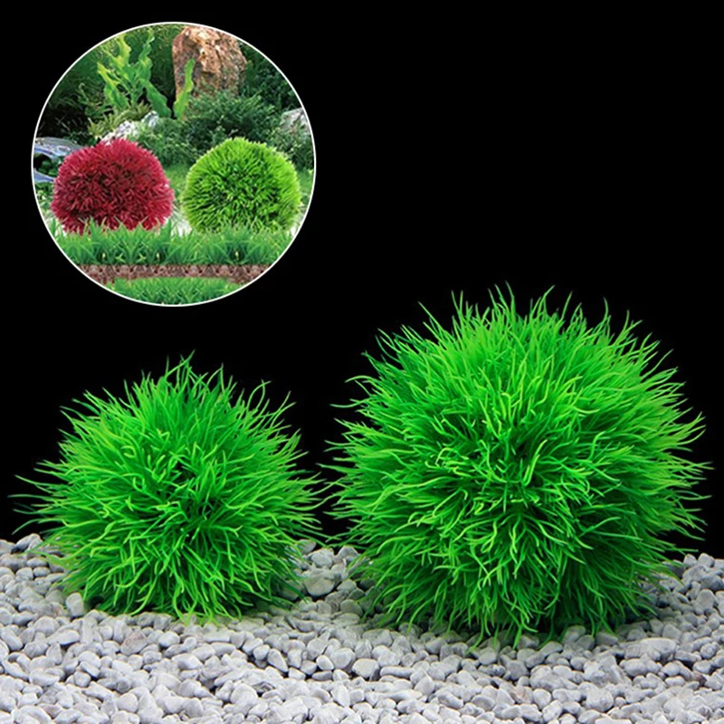 Marimo Moss Balls Live Aquarium Plant Algae Fish Shrimp Tank Ornament Simulation Green Algae Balls Artificial Plant