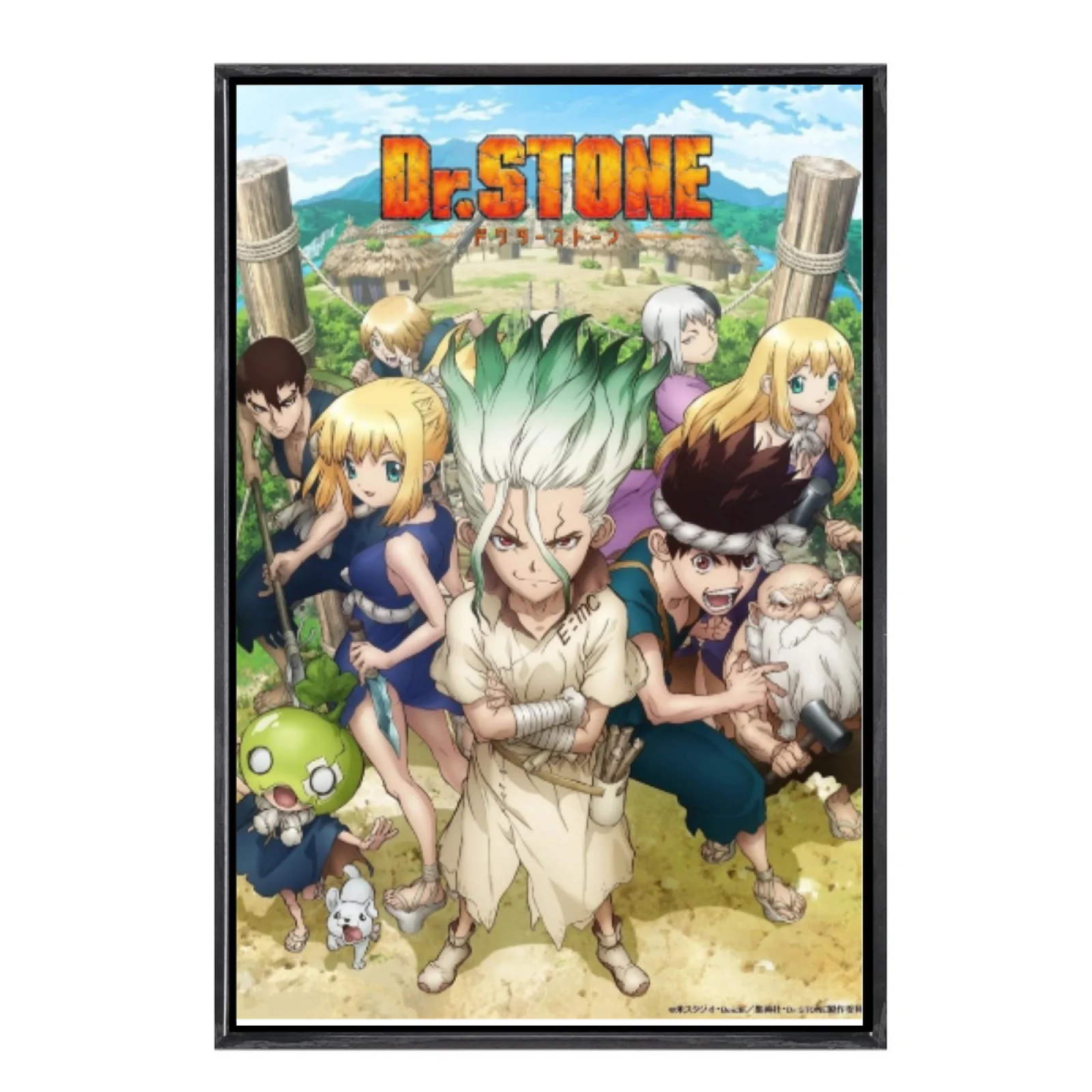 

Японская манга, многоразмерный холст, постер в двойной рамке, настенное искусство, Dr Stone, домашний декор для гостиной, спальни