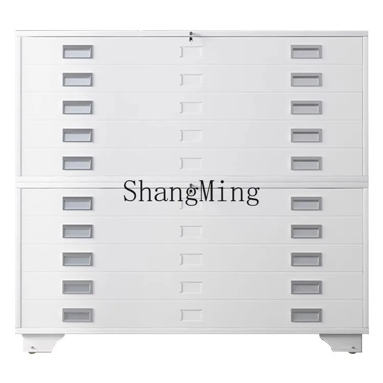 

DSA Home Office Drawing Storage Cabinet Data Base Map Drawer Calligraphy and Painting Storage Cabinet