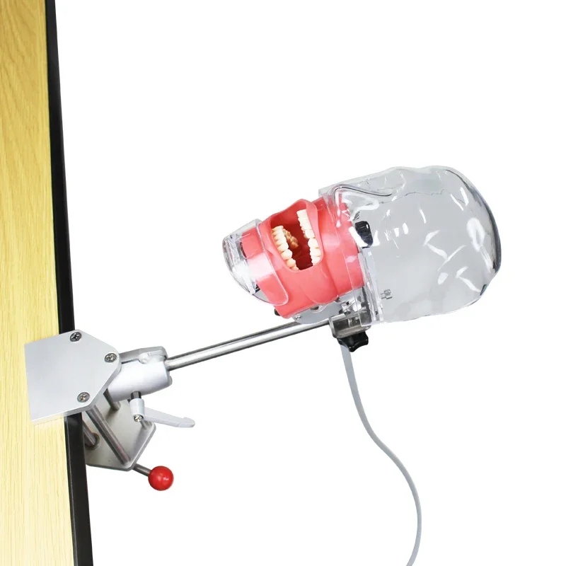 Dentals emulator equipment Dentist teaching training tool Removable