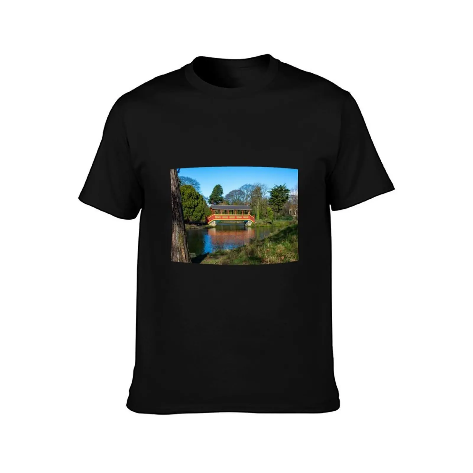 Birkenhead Parks Iconic Swiss Bridge T-Shirt Summer Casual Cotton Tee Oversized Streetwear Tops Vintage Graphic Print