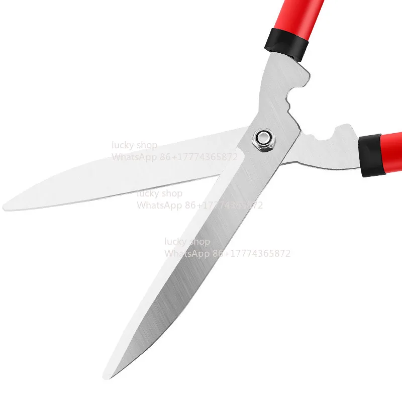 Pruning and Cutting Lawn Garden Fruit Wood Fence Shape Shears Are Hard and Thick