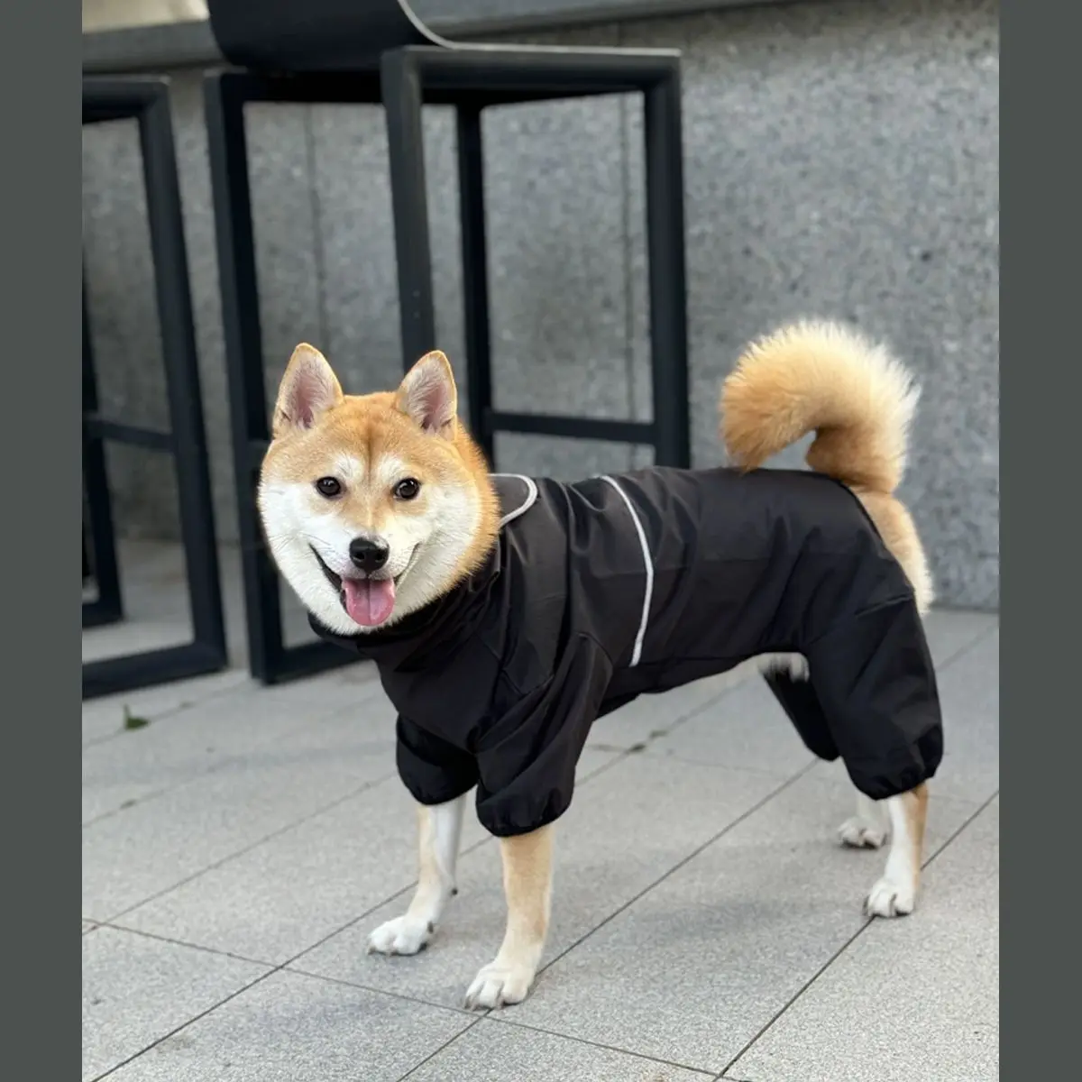 

Весенние и осенние сезоны Водонепроницаемый, ветрозащитный и пыленепроницаемый лабрадор Golden Retriever Edge Shepherd Четырехногий