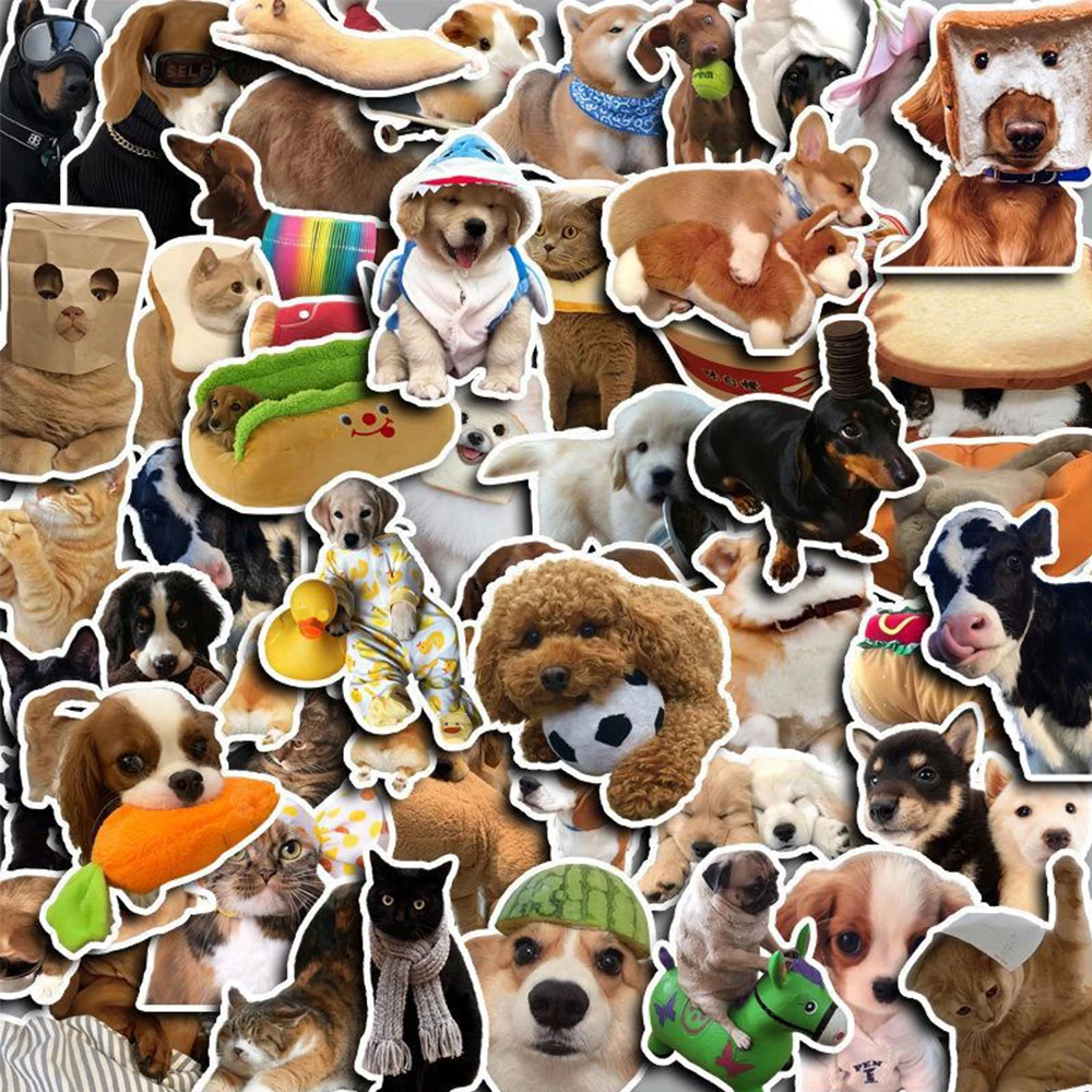 10/30/50 Stück Niedliche Lustige Katzen- und Hundetier-Meme-Aufkleber Kawaii Cartoon-Sticker Dekoration für Scrapbook, Gepäck, Telefon, Tagebuch Sticker-Pack