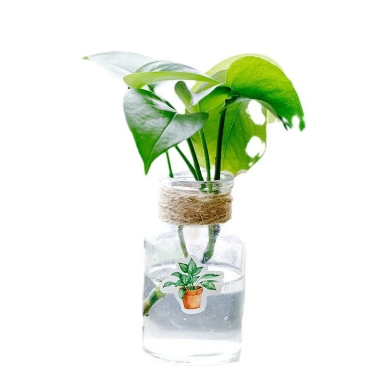 45 قطعة في كل عبوة من ملصقات النباتات بوعاء أخضر، مواد تزيين سجل القصاصات ذات الطراز الطبيعي الطازج، ألبوم الصور، ملصقات صناعة يدوية #4