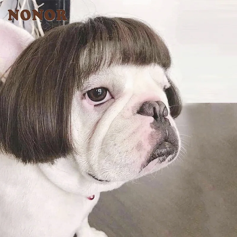 NONOR Pet peruki rekwizyty do Cosplay śmieszne psy koty Cross-Dressing włosów kapelusz kostiumy akcesoria na głowę dla Halloowen materiały na boże narodzenie
