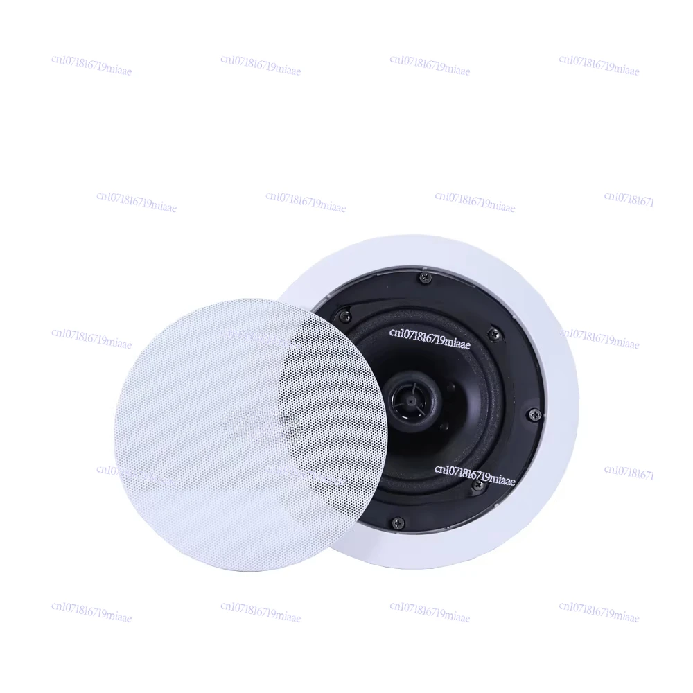 High Quality Ceiling Speaker with Wireless Microphone Karaoke Home Theater System