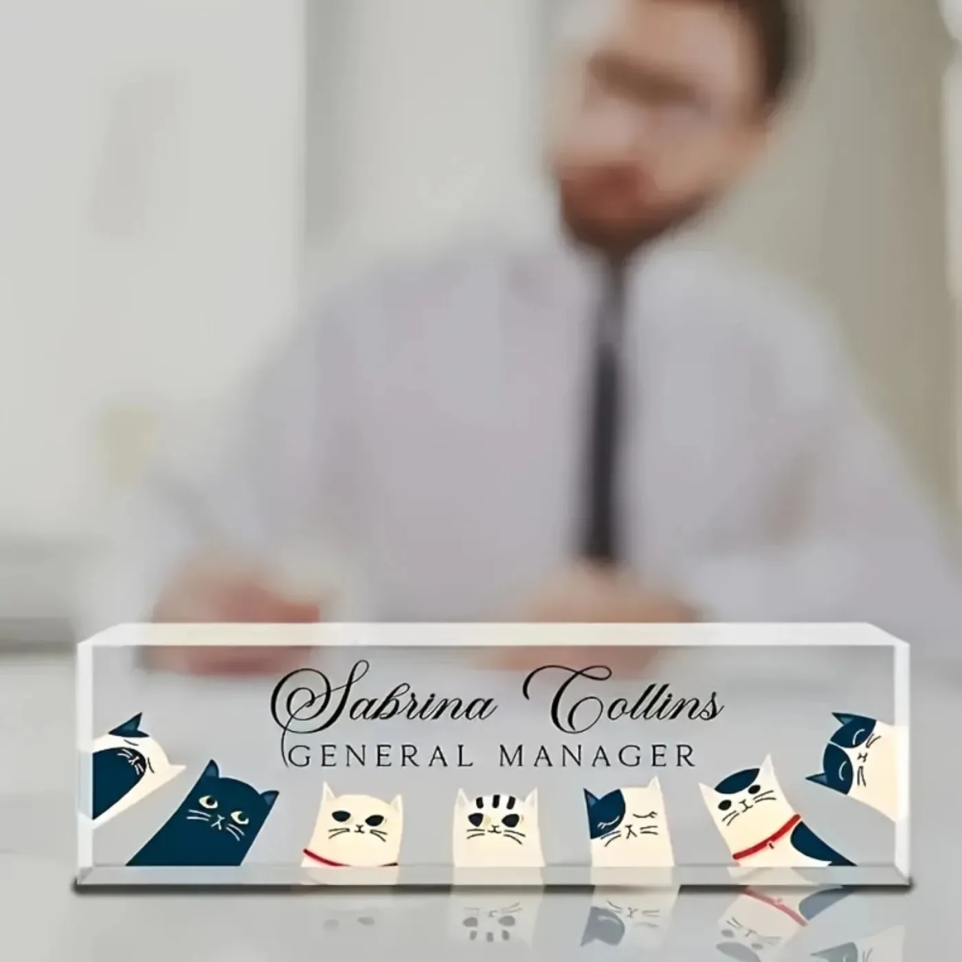 [2D Flat] Custom Transparent Cat Theme Acrylic Desk Nameplate, Modern Durable Office & Classroom Decor, Only for Decoration