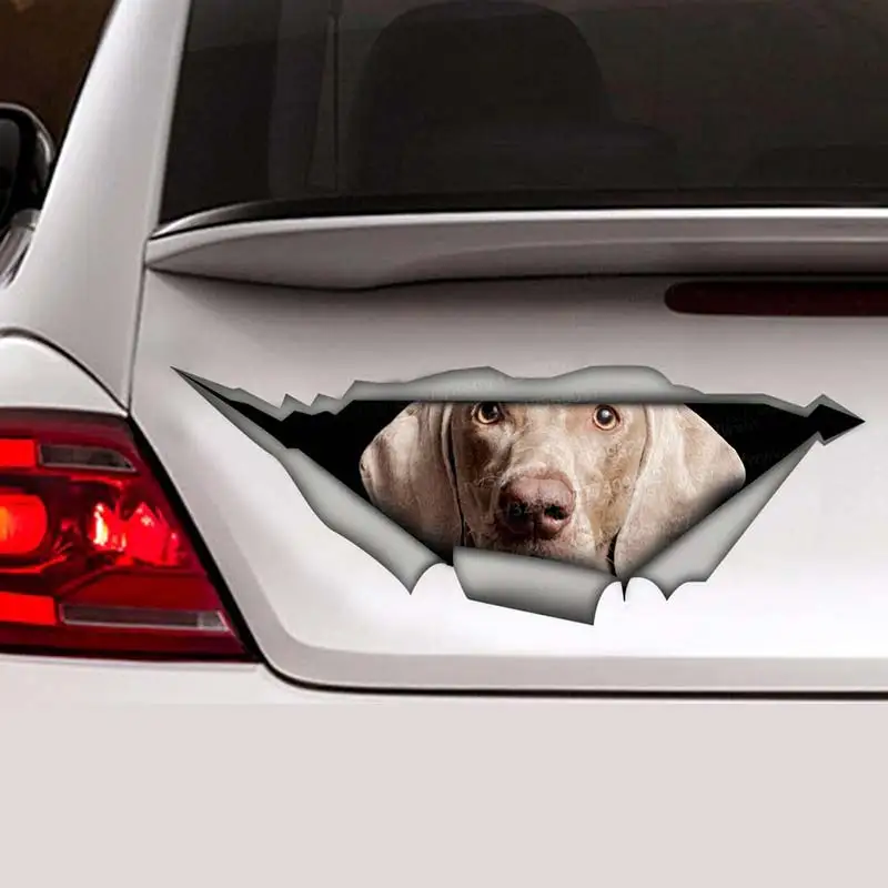 Weimaraner Pet Dog Car Sticker Waterproof Vinyl Decal on Bumper Rear Window Laptop Self-adhesive Decal For Car Accessories SH334