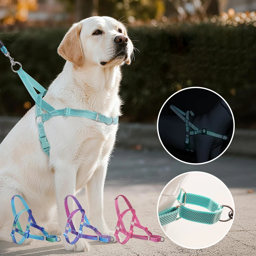 Arnés Antitirones Colorido para Perros Grandes, Chaleco Acolchado de Malla Resistente con Asa, Antichoque y Antiescape para Paseo de Mascotas