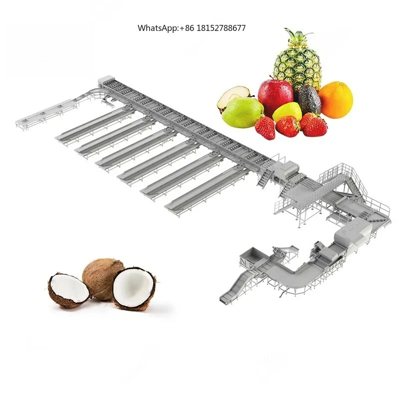Intelligent Electronic Coconut Sorter Grader Line Grading Round Fruit and Vegetable Sorting Machine by Weight